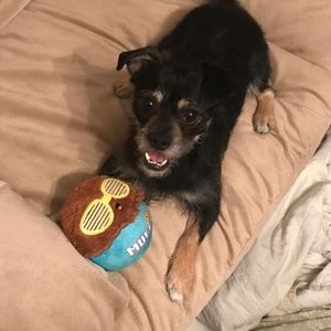 Meet your Posher, Faith